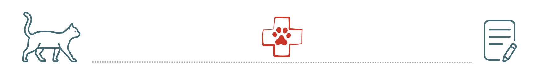healthy dog supported by pet insurance at Advanced Veterinary Care Greenwood Village CO