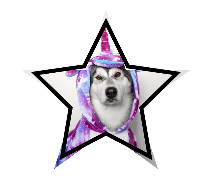A dog wearing a unicorn costume to represent pet care myths that cover pet care facts.