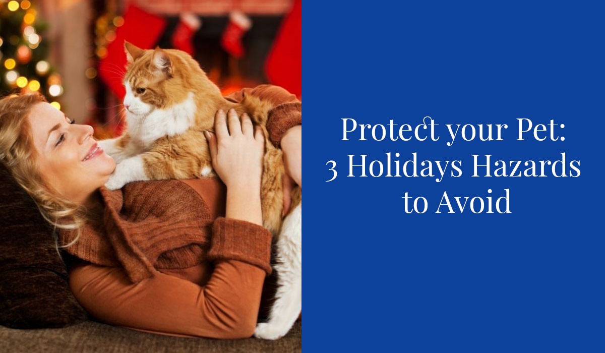 Protect-Your-Pet_-3-Holiday-Hazards-to-Avoid