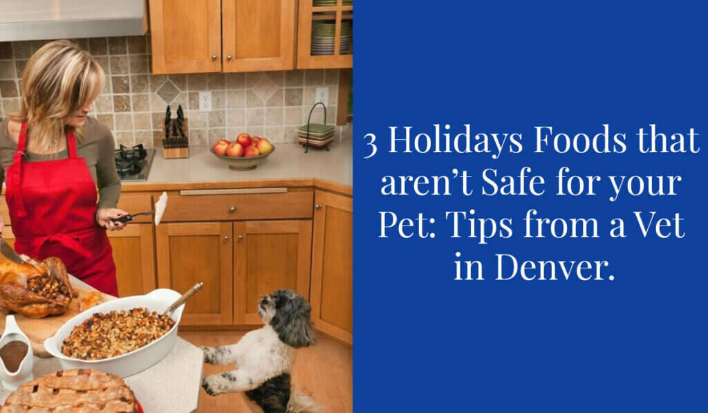 A woman in a kitchen with a dog, standing near a table with holiday food dishes.
