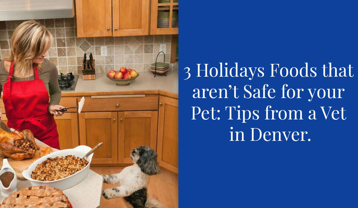 A woman in a kitchen with a dog, standing near a table with holiday food dishes.