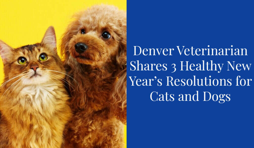A tabby cat and a poodle together beside text about pet health resolutions.