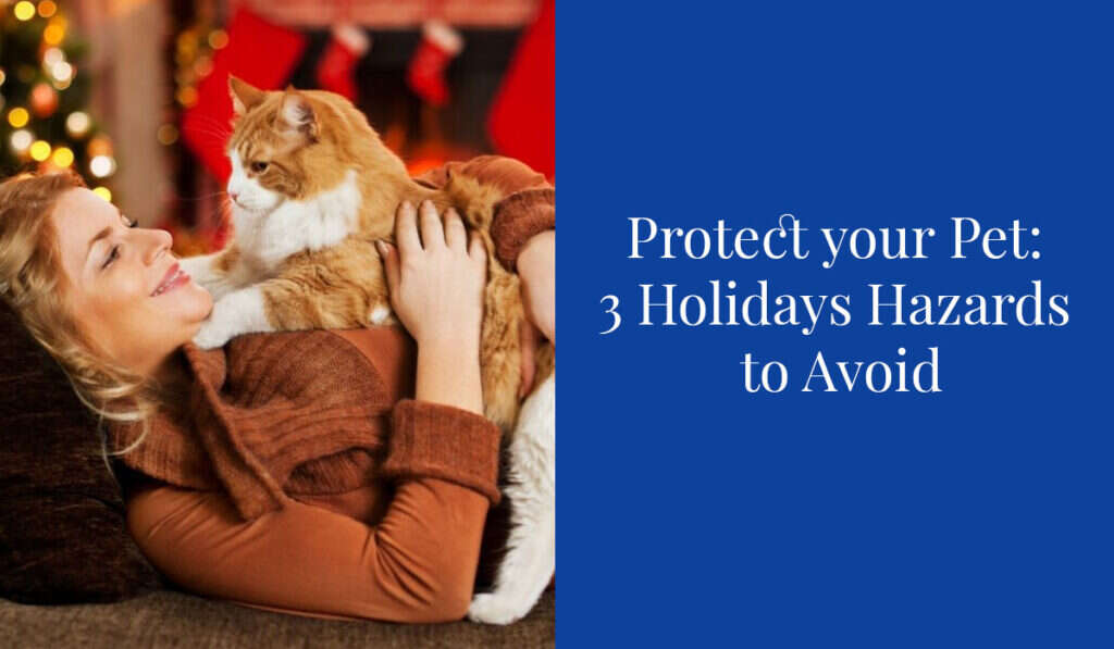 Woman lying on the floor joyfully holding a fluffy orange and white cat, with festive decor in the background.