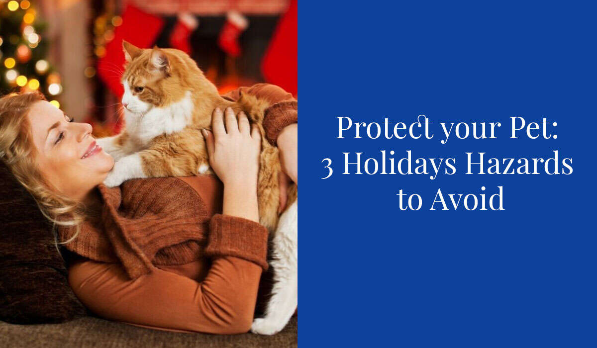 Woman lying on the floor joyfully holding a fluffy orange and white cat, with festive decor in the background.