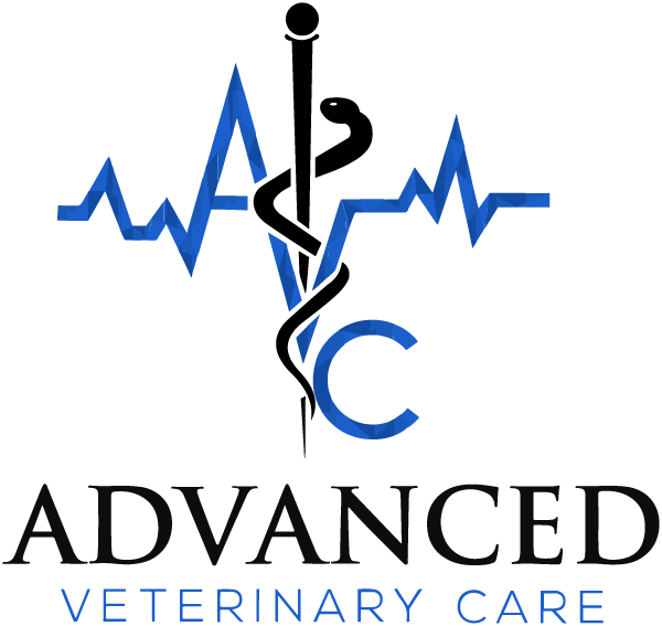 Logo with "Advanced Veterinary Care" text and a blue heartbeat line forming "AVC.