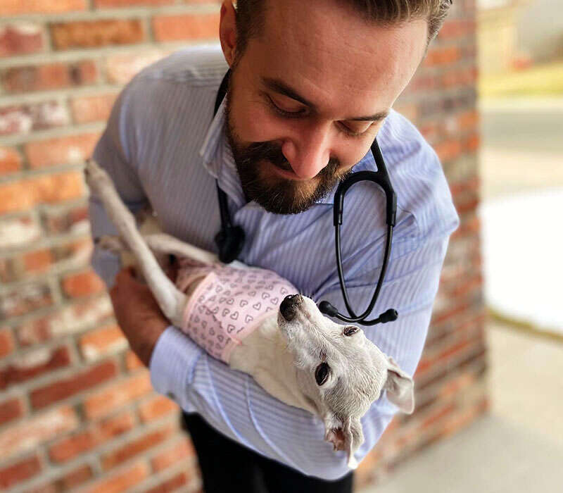 A person holding a small dog wearing a pink patterned shirt, with a stethoscope around their neck.