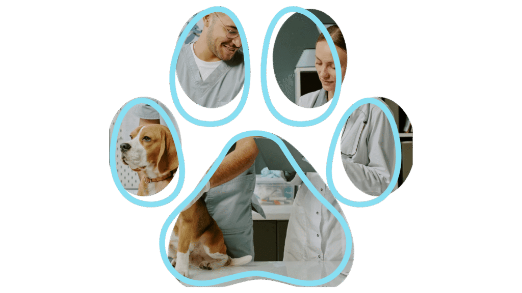 Veterinarians caring for a beagle on an examination table, with medical equipment around.